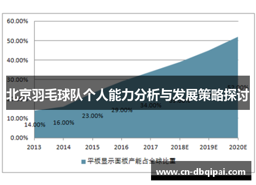 北京羽毛球队个人能力分析与发展策略探讨